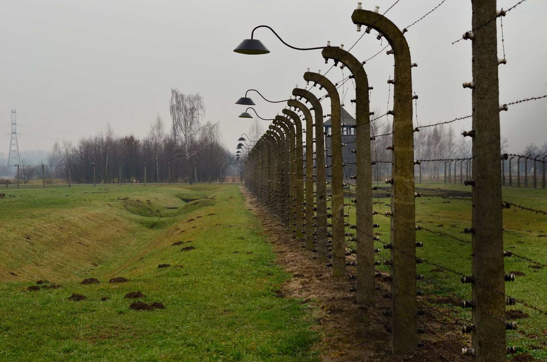 Long barbed wire fence in a green field on an overcast day, symbolizing isolation and boundaries.